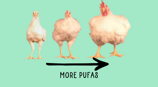PUFAs: Heart Healthy for Humans or Harmful for Livestock? The Truth Behind the Fat Debate