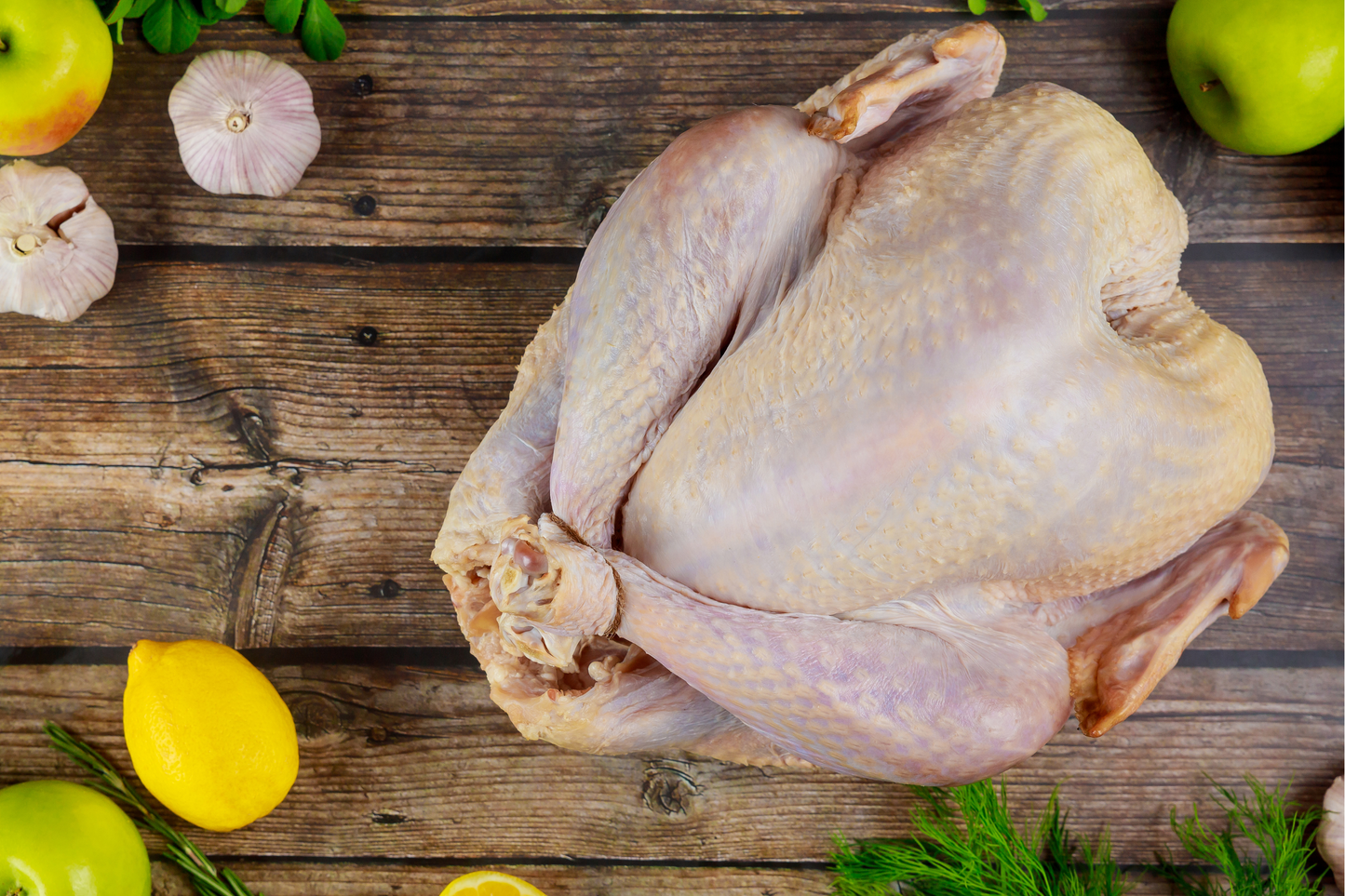 Holiday Turkey