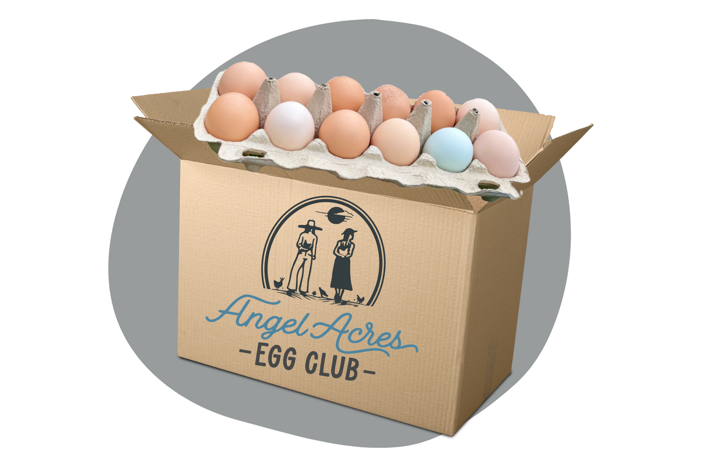 Jumbo Egg Box