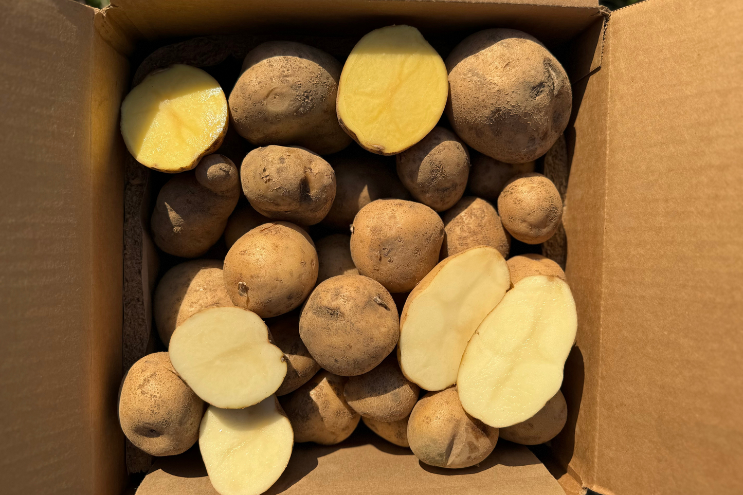 White Potato Variety Box