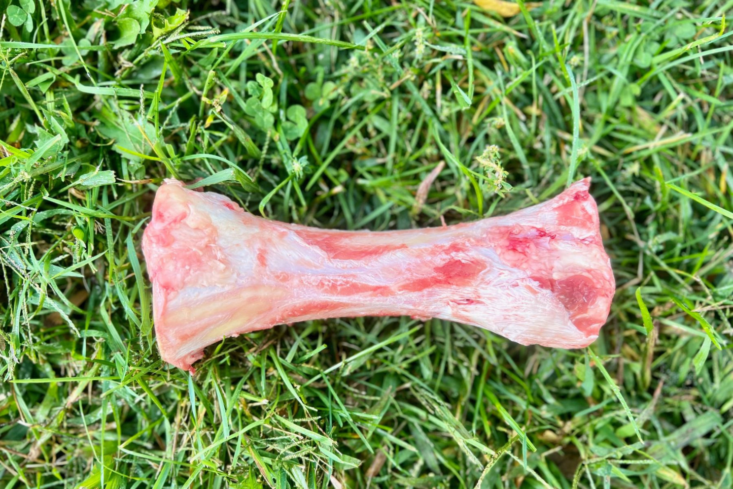 Raw Marrow Bones for Pets