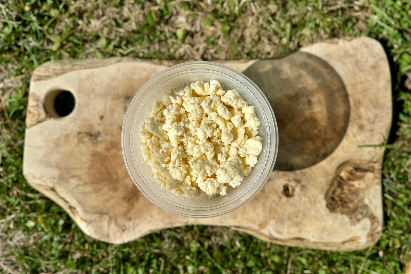 Ricotta