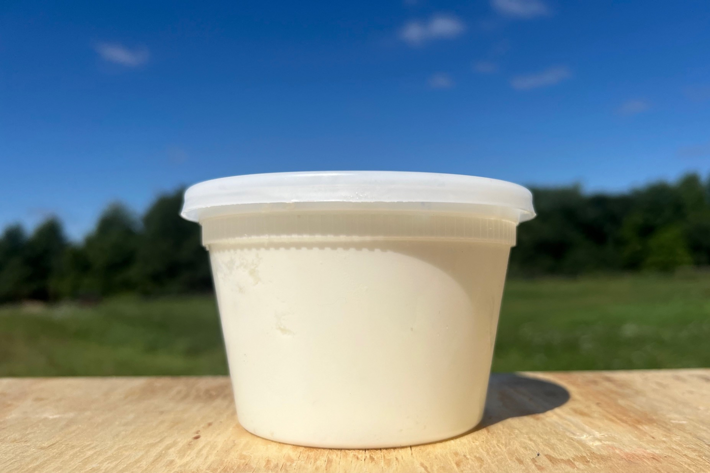 Raw Sheep Yogurt
