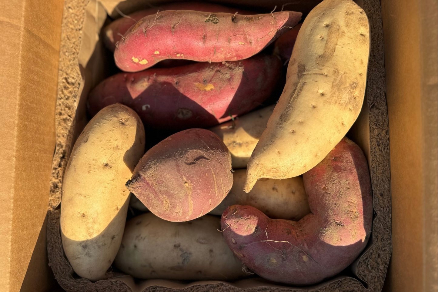 Sweet Potato Variety Box