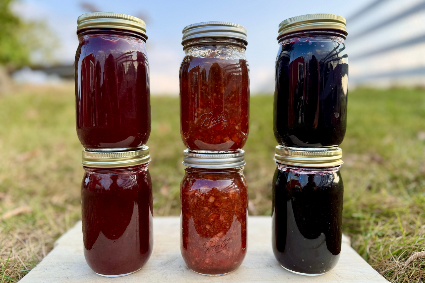 Variety Jam Box