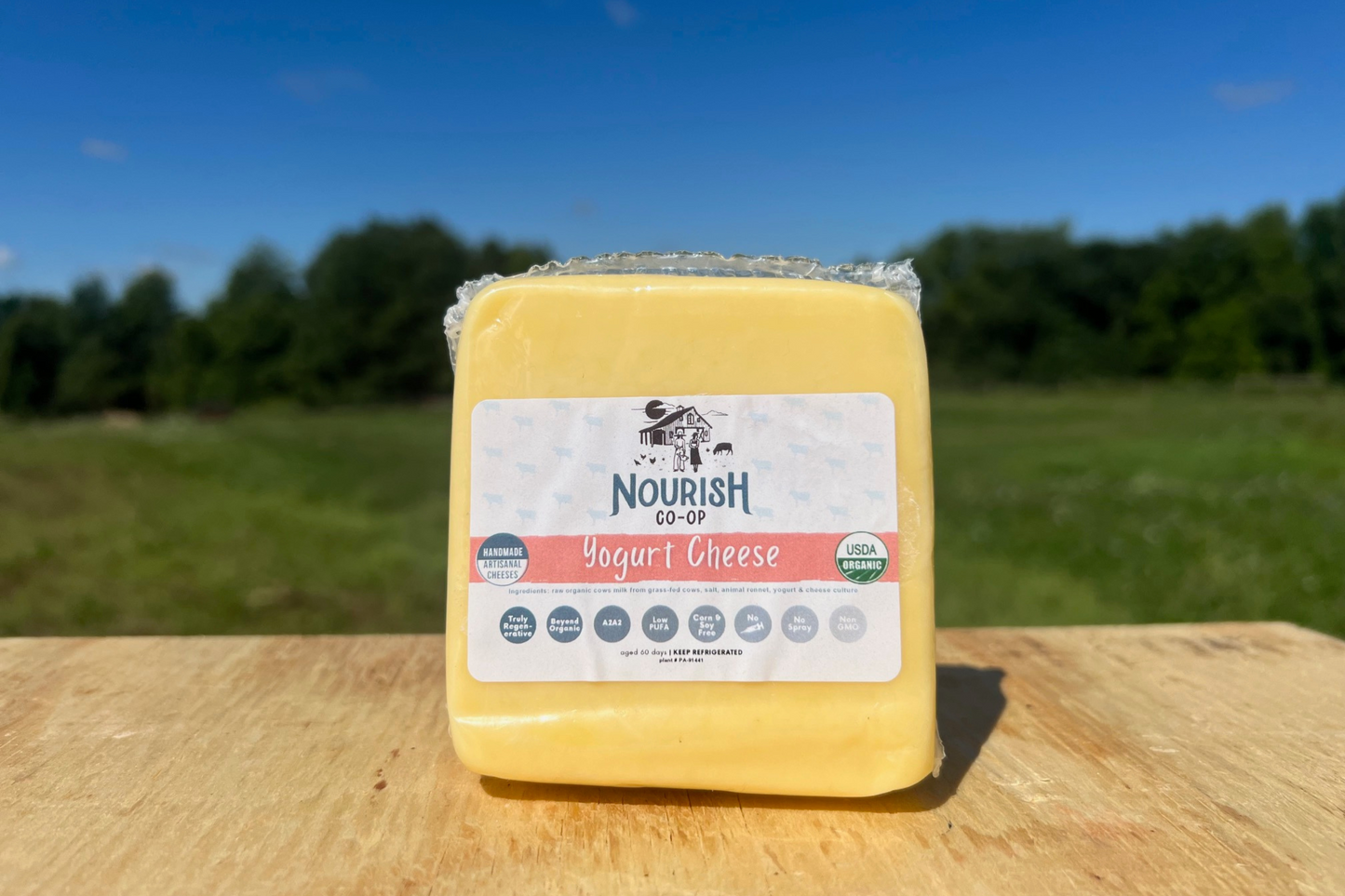 Yogurt Cheese