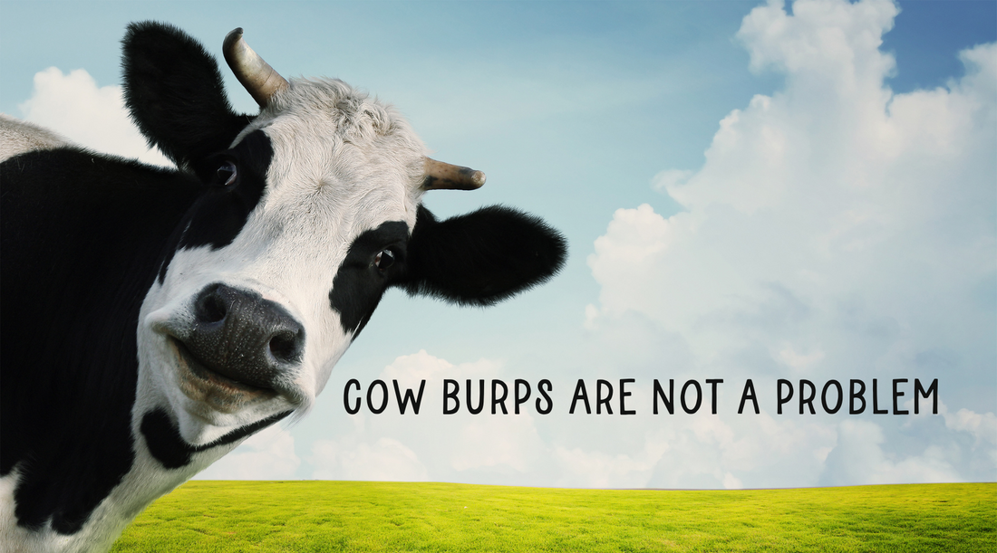 The Truth Behind Bovaer and Cow Burps: Chemical Fix or Corporate Scam?