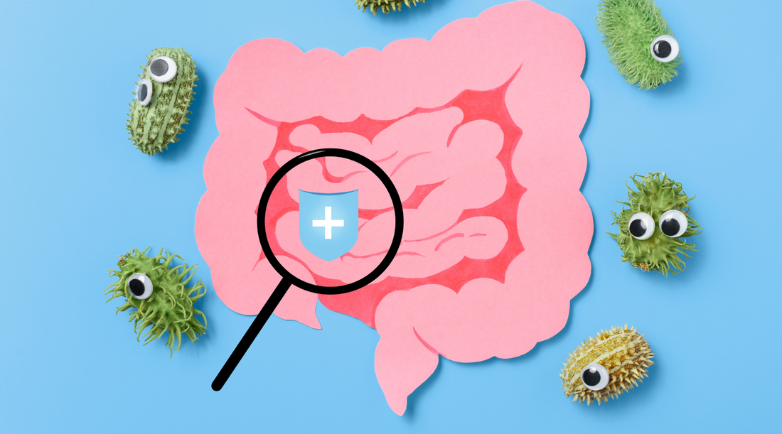 The Health Consequences of Glyphosate