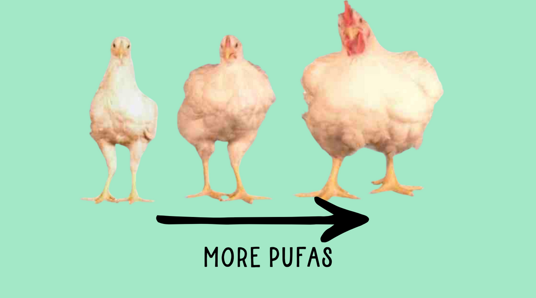 PUFAs: Heart Healthy for Humans or Harmful for Livestock? The Truth Behind the Fat Debate