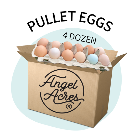 Low PUFA PULLET Eggs