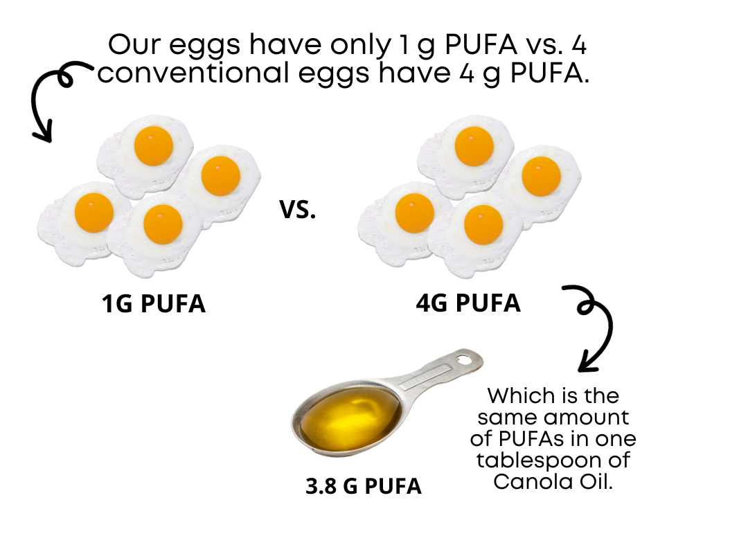 corn and soy free eggs low in PUFAs from pasture raised chickens