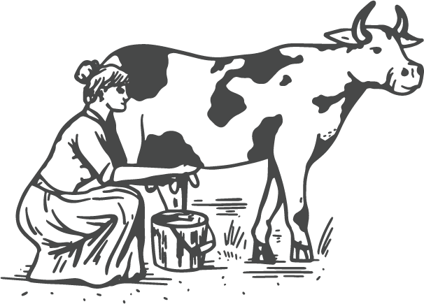 Dairy Products 