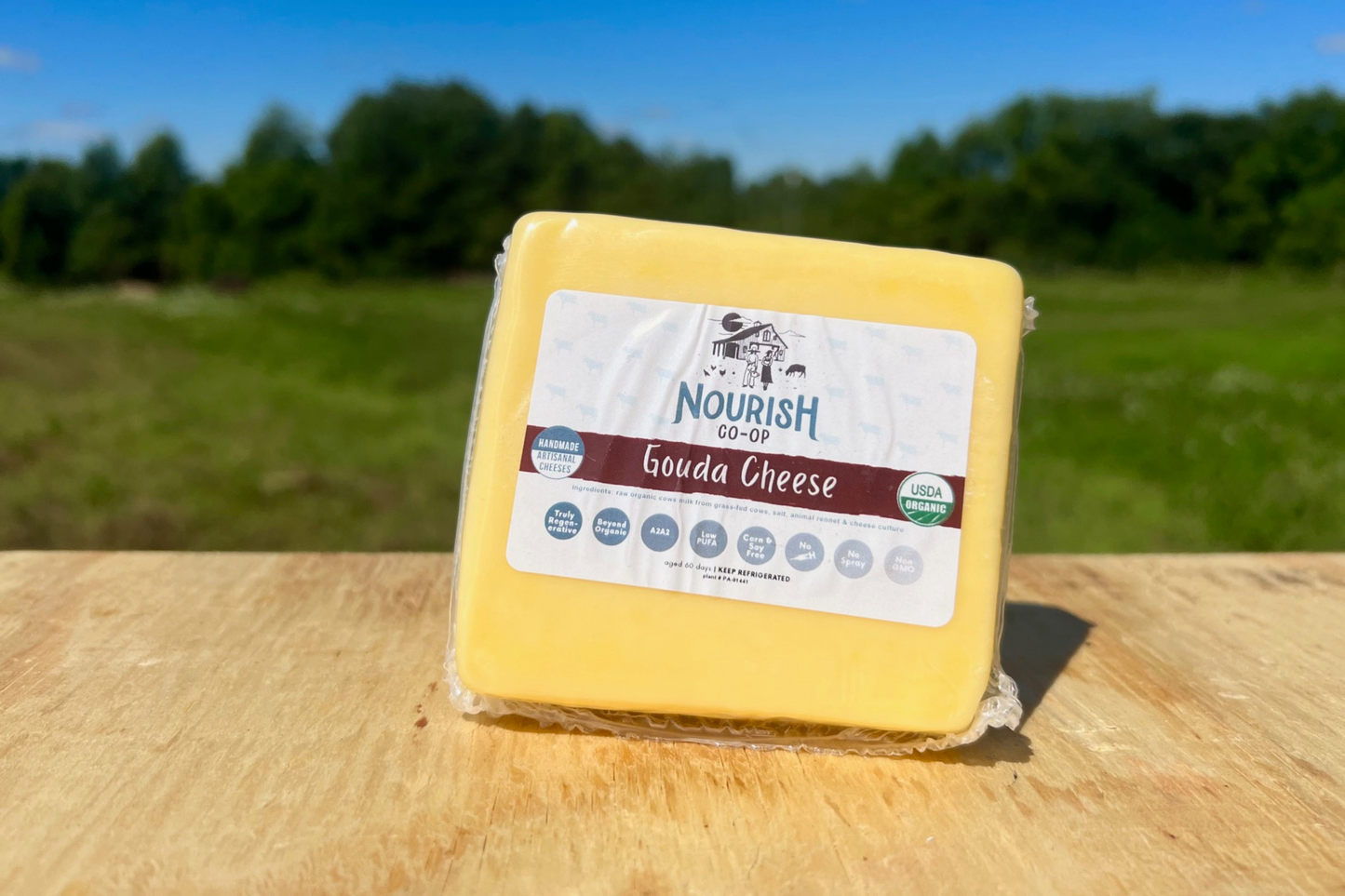 Gouda