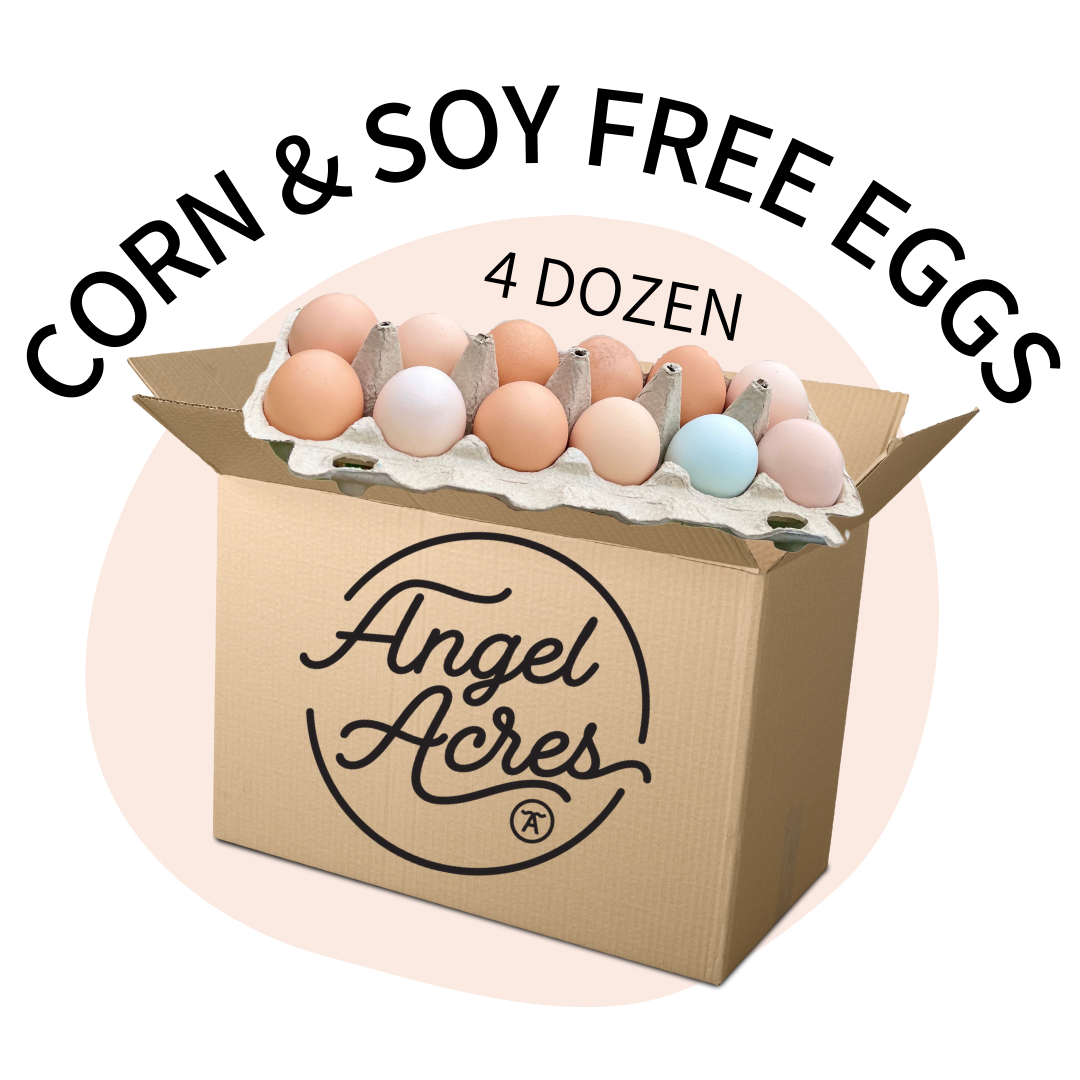 Corn & Soy Free, Low PUFA Eggs LOCAL ONLY